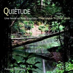 QUIET07 Une Heure En Foret Tropicale Australienne F Deroussen