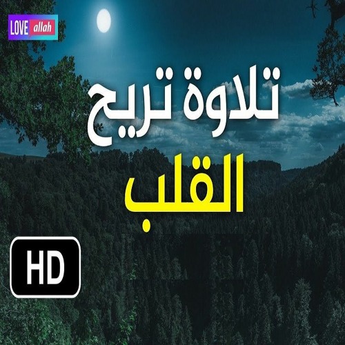 سورة السجدة للقارئ منصور السالمي