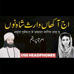 Aj Aakhan Waris Shah Nu | Famous Punjabi Poem by Amrita Pritam | recited by Faisal Azfar Alvi