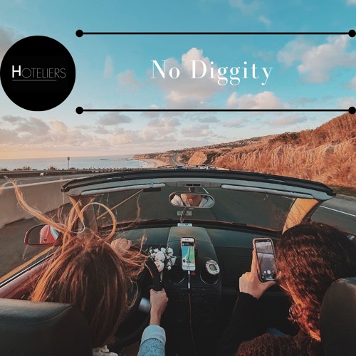 No Diggity