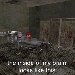 br4inm4tt3rg03sspl4tt3r