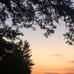 The Trees and the Winter Wind