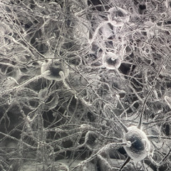 Jarreau Vandal - Someone That You Love (Lilshiit Remix)