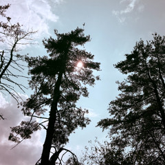 3mg prod. bayergartner