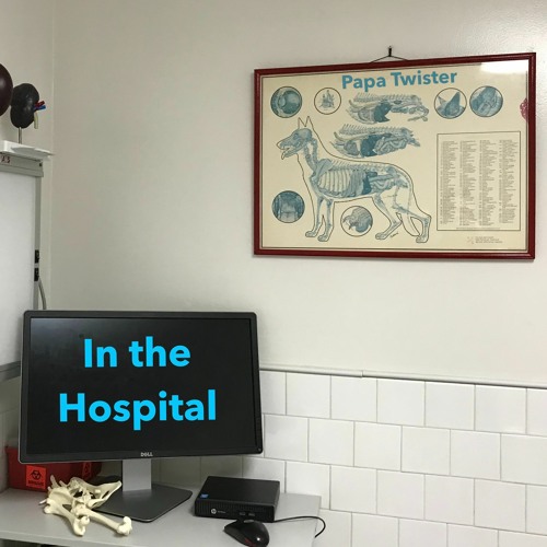 In the Hospital