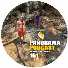 Panorama Podcast 161