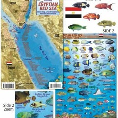 DOWNLOAD EBOOK 📩 Egyptian Red Sea Dive Map & Reef Creatures Guide Franko Maps Lamina