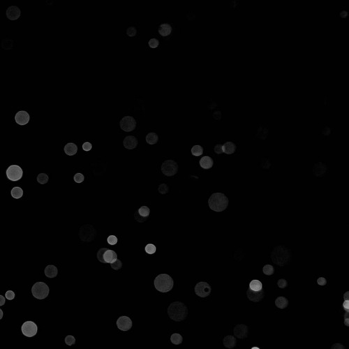 aftertheparty ~ 11.22 (Unreleased, Snippet)