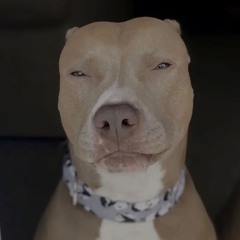 thats right! @bbuggin