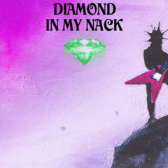 Diamond in my nack (feat. THE SKAAR)
