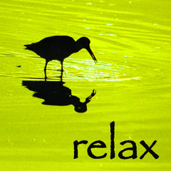 Release (Chakra Cleansing)
