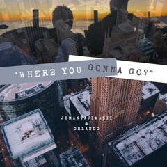 Where You Gonna Go? (feat. Orlando)