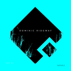Dominic Ridgway - My Mind