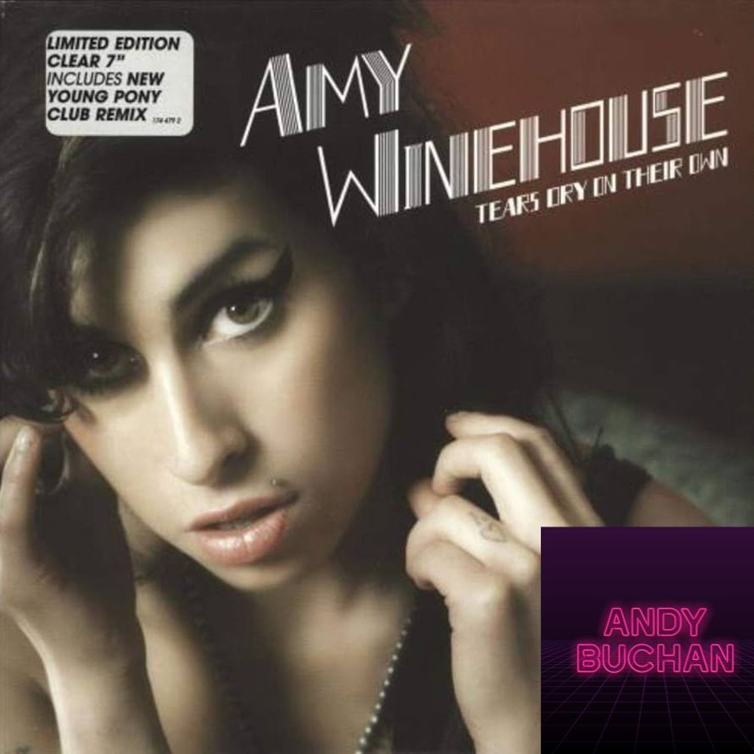 Stream Amy Winehouse - Tears Dry On Their Own (New Young Pony Club