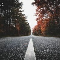 240: Inför valrörelsen