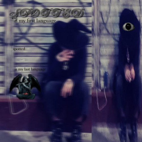 esquizowitch