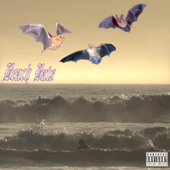 Beach Bats