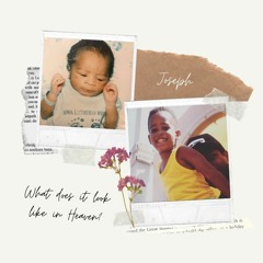 What Does It Look Like In Heaven?