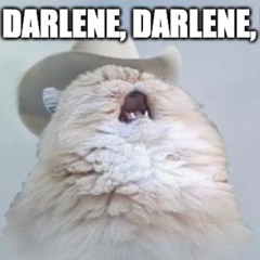 Darlene (Please Don't Counter Me)