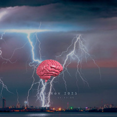 Fabio Zammarchi - MENTAL STORM