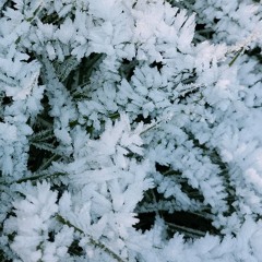 freak_in_the_faucet_12540af7-8e42-47ef-92b1-eb15c53e4b09 (1).mp3