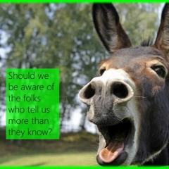 Advice – When Do We Know Enough To Give It…with Rowie MCEvoy