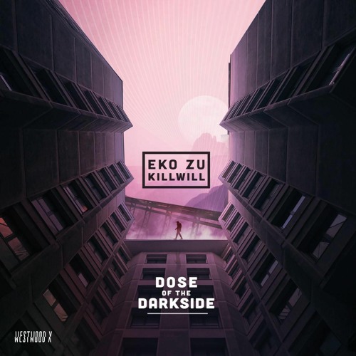 Eko Zu x KillWill - Dose Of The Darkside