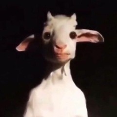 udr666 versão eu
