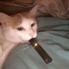 Smokin on da gas w lil Jeødxn