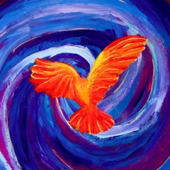 Be a bird, be Alive.