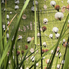 strokashka @ Barkett Bar, 22.02.2025