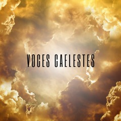 Voces Caelestes feat. Lena Arlid