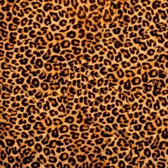 buffetboyjohn - check (prod. lolu)