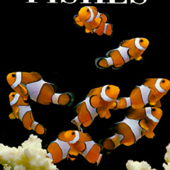 Get KINDLE 📮 Encyclopedia of Fishes (Natural World) by  John R. Paxton &  William N.