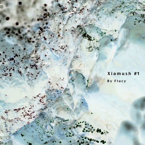 Xiamush  #1