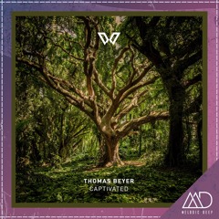 PREMIERE: Thomas Beyer - Captivated (Original Mix) [Deep Woods]