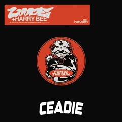 Luude X Harry Bee - Fun In The Sun (CEADIE BOOTLEG)