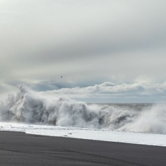 Warmth - The Black Sand