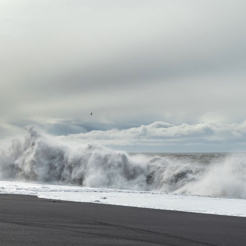 Warmth - The Black Sand