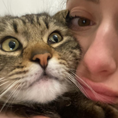 Feel prod.@Pagani demo 2020