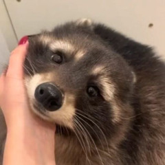 BAD TRIP (feat Vylet)