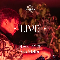 Ash Mellor @Nevera stage, Flows Festival 2025 (Croatia)