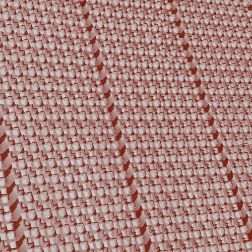 RIB