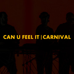 Can U Feel It | Carnival (Swedish House Mafia Mashup)