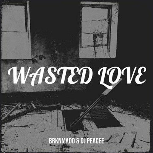 Wasted Love [prod. by Peacee]