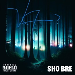 SHO BRE (Jacob Tillberg Remix)