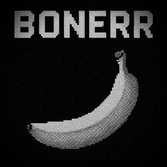 SEBii - BONErr (GEEF FLIP)