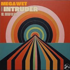 2. Megawet - The Intruder (Timewarp Inc Remix)