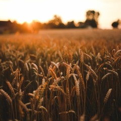 Mindfulness & Intimacy (Part 2)