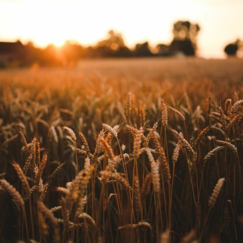 Mindfulness & Intimacy (Part 2)